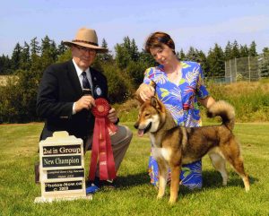 Ch. Akashima's Kochi Ken Aiko Mura