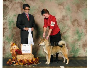 Ch. Chiharu Go Nidai Iwahorisou