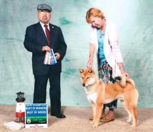 dog with judge and handler