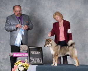 Ch. Tochiumme Go Izumo Yanosou