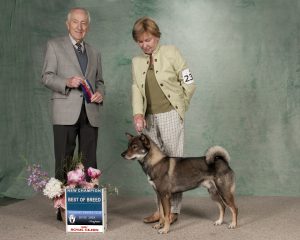 Yoki with judge and handler
